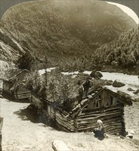 'Old log houses in Bratslandsdal, with trees growing on sod-covered roofs, Norway', c1905.  Creator: Unknown.