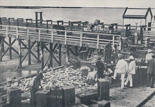 'The Pearl Fishing Industry - Packing Shell', 1923. Creator: Unknown.