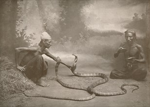 'Snake Charrmers with Hamadryads (Kuy Cobras)', 1900. Creator: Unknown.