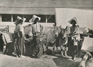 'Caravan Scene with Shans at Bhamo', 1900. Creator: Unknown.