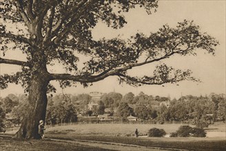 'Looking from the Green Slopes of Caen Wood Towards the Church Spire of Old Highgate', c1935. Creator: Unknown.
