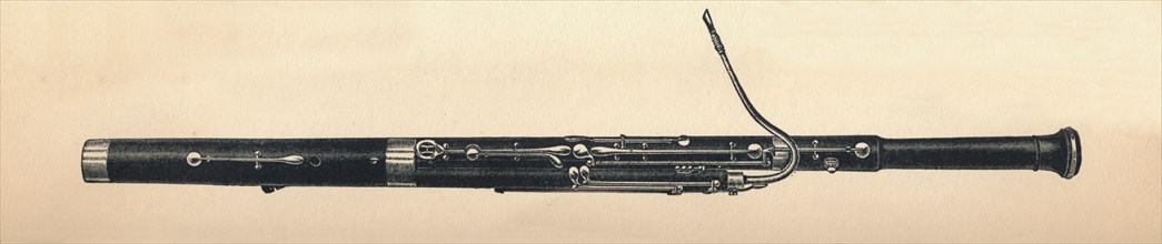 'Bassoon', 1895. Creator: Unknown.