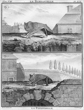 'La Barbastelle & La Pipistrelle', c1763.  Creator: Christian Friedrich Fritzsch.