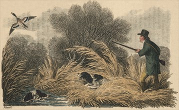 'Duck Shooting', 1810. Creator: Samuel Howitt.