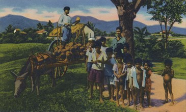 'Coconut Vendor, Trinidad, B.W.I.', c1940s. Creator: Unknown.