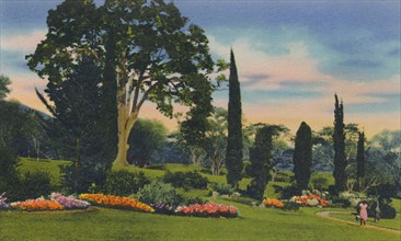'Rock Garden, Trinidad, B.W.I.', c1940s. Creator: Unknown.