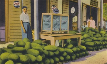 'Watermelons For Sale, Trinidad, B.W.I.', c1940s. Creator: Unknown.