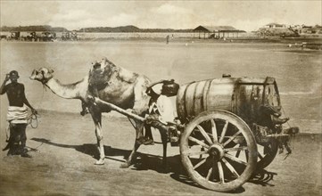 'Water Cart, Aden', c1918-c1939. Creator: Unknown.