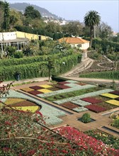 Botanical gardens, Funchal, Madeira, Portugal