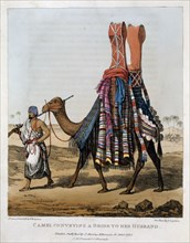 'Camel Conveying a Bride to her Husband', 1821. Artist: Denis Dighton