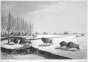 A buffalo pound, Canada, c1819-1822 (1823). Creator: Edward Finden.
