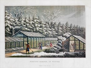 'Forcing Garden in Winter', 1816. Artist: Humphry Repton