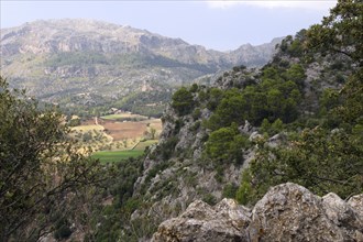 Mountain scenery near Lluc, Mallorca.