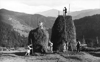 Building haystacks at harvest time, Bistrita Valley, Moldavia, north-east Romania, c1920-c1945. Artist: Adolph Chevalier