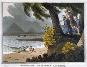 'Egyptians, Crocodile Catching', 1813. Artist: Matthew Dubourg