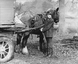 Young gypsy with a horse, 1960s.