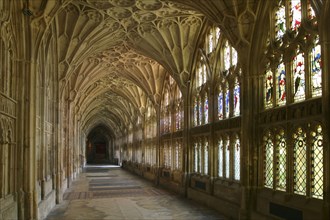 Cloisters, Gloucester Cathedral, Gloucestershire.
