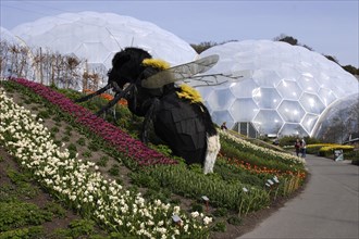 Giant bumble bee sculpture, Eden Project, near St Austell, Cornwall.