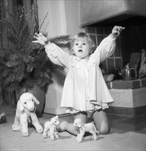 A litte girl playing with her christmas gifts, Sweden, 1955. Artist: Unknown