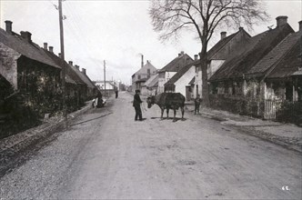 A farmer with a cow on a street, Landskrona, Sweden, 1900.  Artist: Borg Mesch