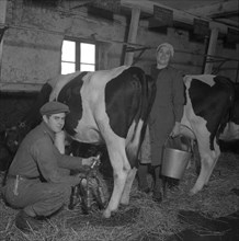 Immigrant farm workers from Estonia in Sweden, 1946. Artist: Otto Ohm