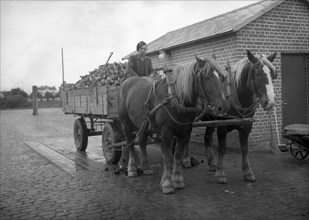 Horse-drawn wagon loaded with sugar beet at a sugar mill, Arlöv, Scania, Sweden, c1940s(?). Artist: Otto Ohm