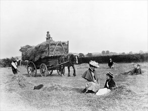 Haymaking, Clifton, Nottinghamshire, 1895. Artist: Unknown
