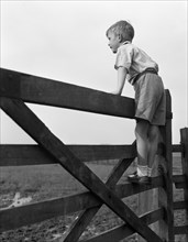 Child standing on a gate, 1963. Artist: Michael Walters