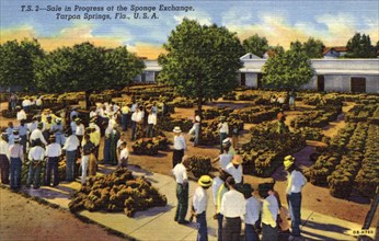 Sale in progress at the sponge exchange, Tarpon Springs, Florida, USA, 1940. Artist: Unknown