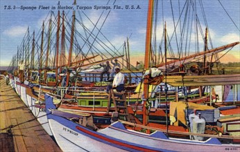 Sponge fleet in the harbour, Tarpon Springs, Florida, USA, 1940. Artist: Unknown