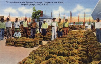 Scene at the sponge exchange, Tarpon Springs, Florida, USA, 1940. Artist: Unknown