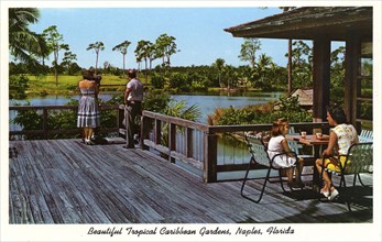 Beautiful Tropical Caribbean Gardens, Naples, Florida, USA, 1962. Artist: Unknown