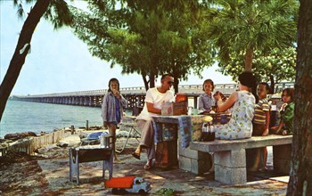 Picnicking alongside Courtney Campbell Parkway, Tampa, Florida, USA, 1959. Artist: Unknown