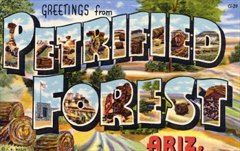 'Greetings from Petrified Forest, Arizona', postcard, 1941. Artist: Unknown