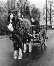 Gypsy man with horse and cart, 1960s.