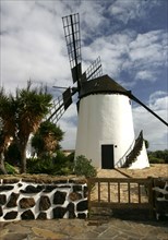 Windmill, Antigua, Fuerteventura, Canary Islands.