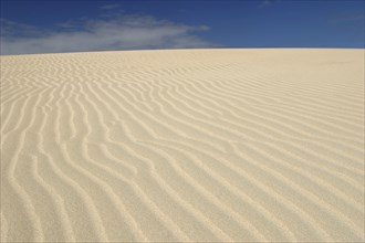 Sand Dunes, Corralejo, Fuerteventura, Canary Islands.