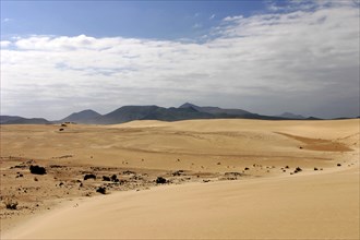 Sand Dunes, Corralejo, Fuerteventura, Canary Islands.