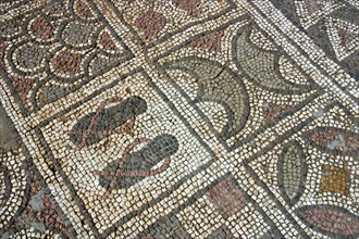Mosaic floor, ruins of the Basilica of Ayia Trias, Famagusta, North Cyprus.