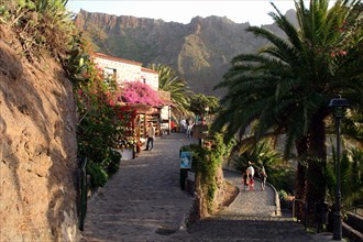Street in Masca, Tenerife, Canary Islands, 2007.