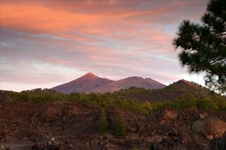 Mount Teide, volcano on Tenerife, Canary Islands, 2007.