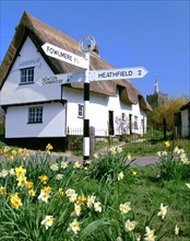 Daffodils, road sign and cottage, Thriplow, Cambridgeshire.