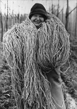 Woman carrying a large bundle of string or fibre, c1937. Artist: Unknown