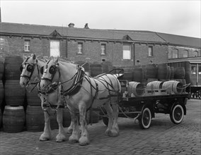Tetley shire horses and dray, Joshua Tetley Brewery, Leeds, West Yorkshire, 1966. Artist: Michael Walters
