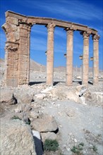 The Oval Piazza, Palmyra, Syria.