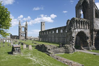St Andrews Cathedral and St Rule's Tower, Fife, Scotland, 2009.