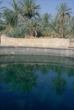 Cleopatra's Pool, Siwa, Egypt.