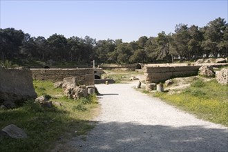 The amphitheatre at Carthage, Tunisia. Artist: Samuel Magal