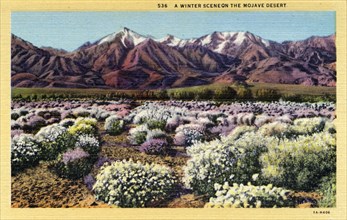 'A Winter Scene on the Mojave Desert', 1931. Artist: Unknown