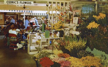 Cedric's Flowers, stall in the original farmers' market, Hollywood, California, USA, 1953. Artist: Unknown